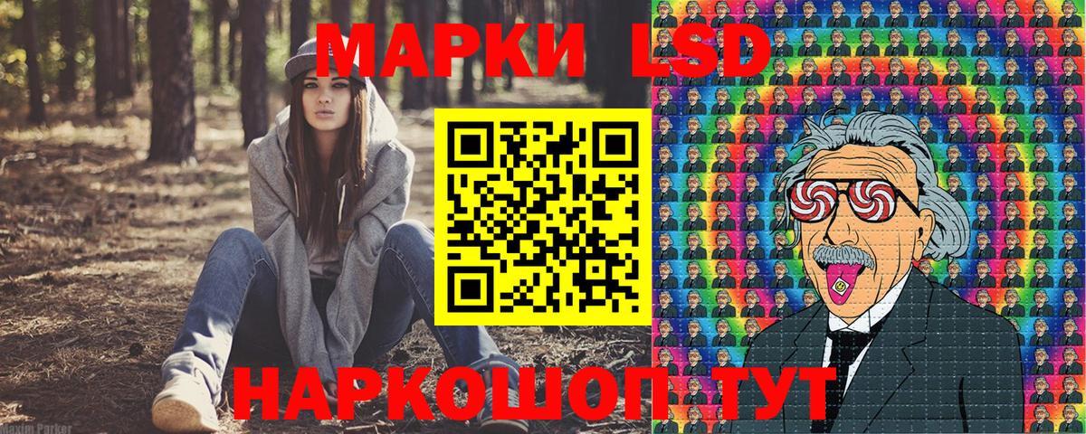Наркотические марки  Вход с VPN  Бердск  Марки N-bome 1,5мг  Марки N-bome 1,5мг 