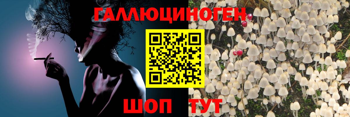 Бердск  Галлюциногенные грибы мухоморы  Псилоцибиновые грибы Cubensis  Вход с VPN 