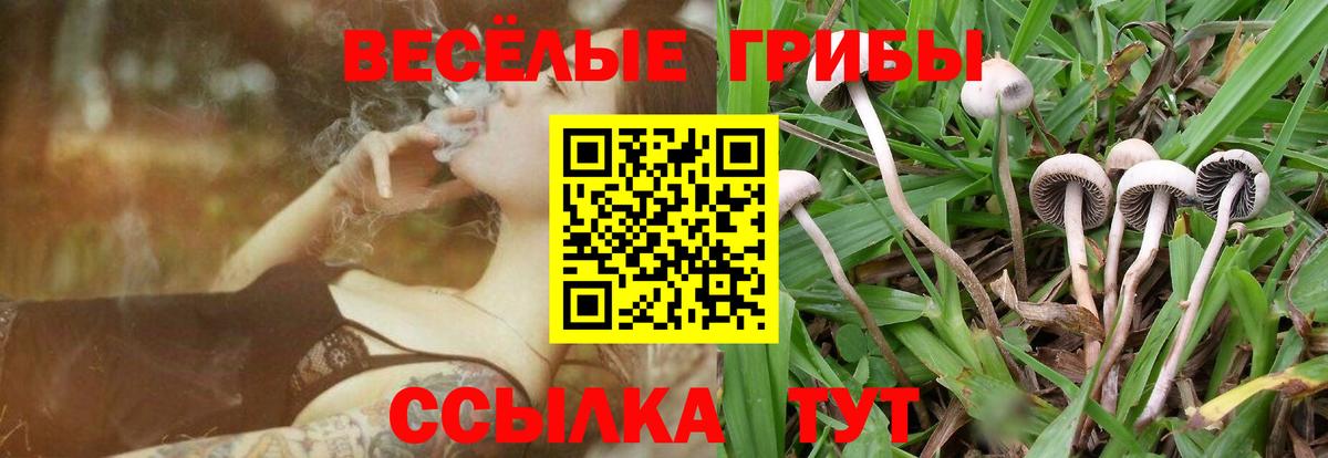 Галлюциногенные грибы ЛСД Бердск