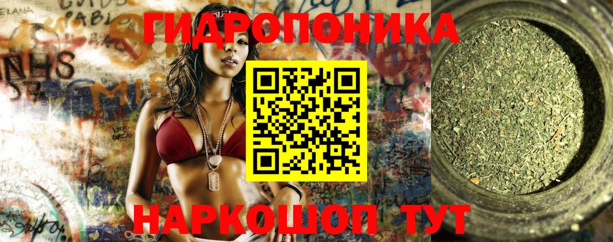 Бошки Шишки OG Kush  Вход с VPN  Бердск  Бошки Шишки SATIVA & INDICA 